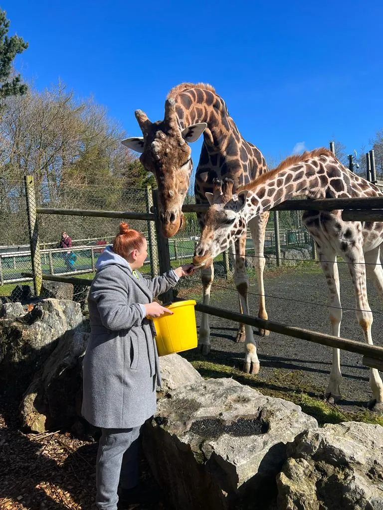 Folly Farm Adventure Park and Zoo